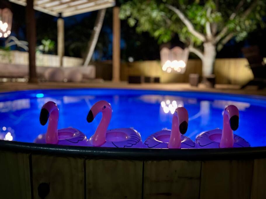 Fabulous W/outdoor Eden Mins From Holiday home